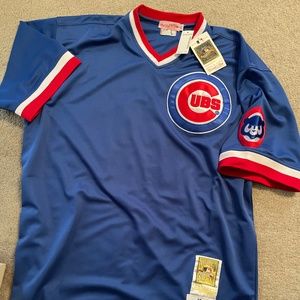 Brand New Ernie Banks Jersey (Mitchell & Ness) XL